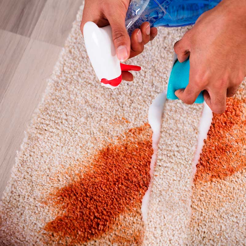 Carpet Cleaning
