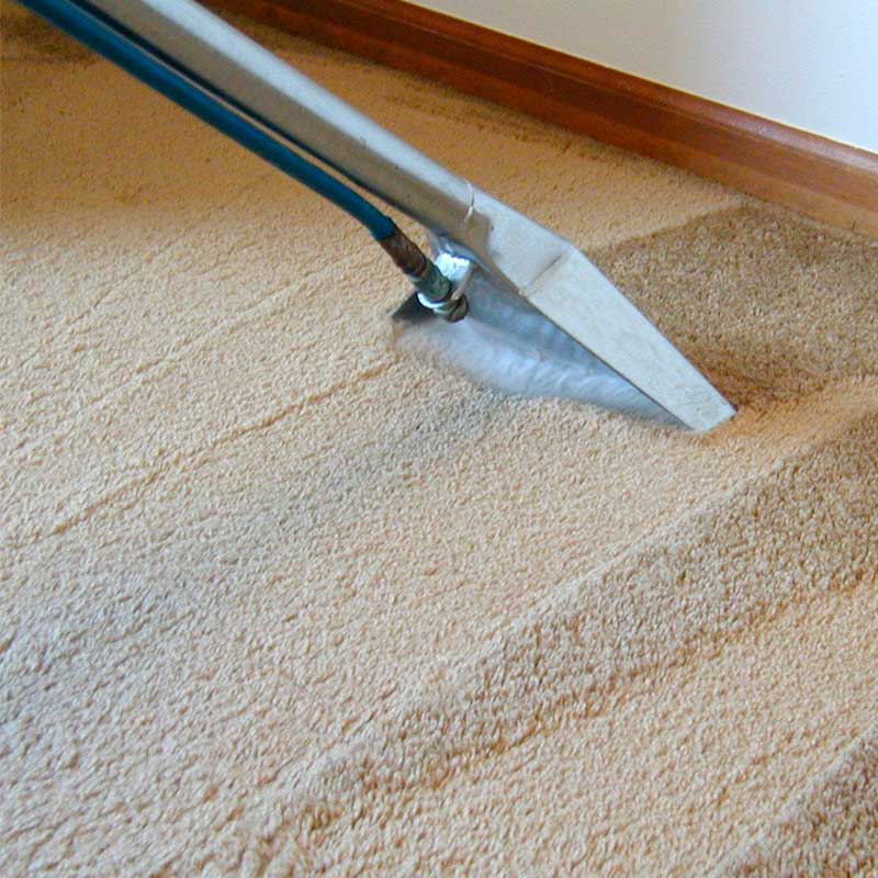 Carpet Cleaning